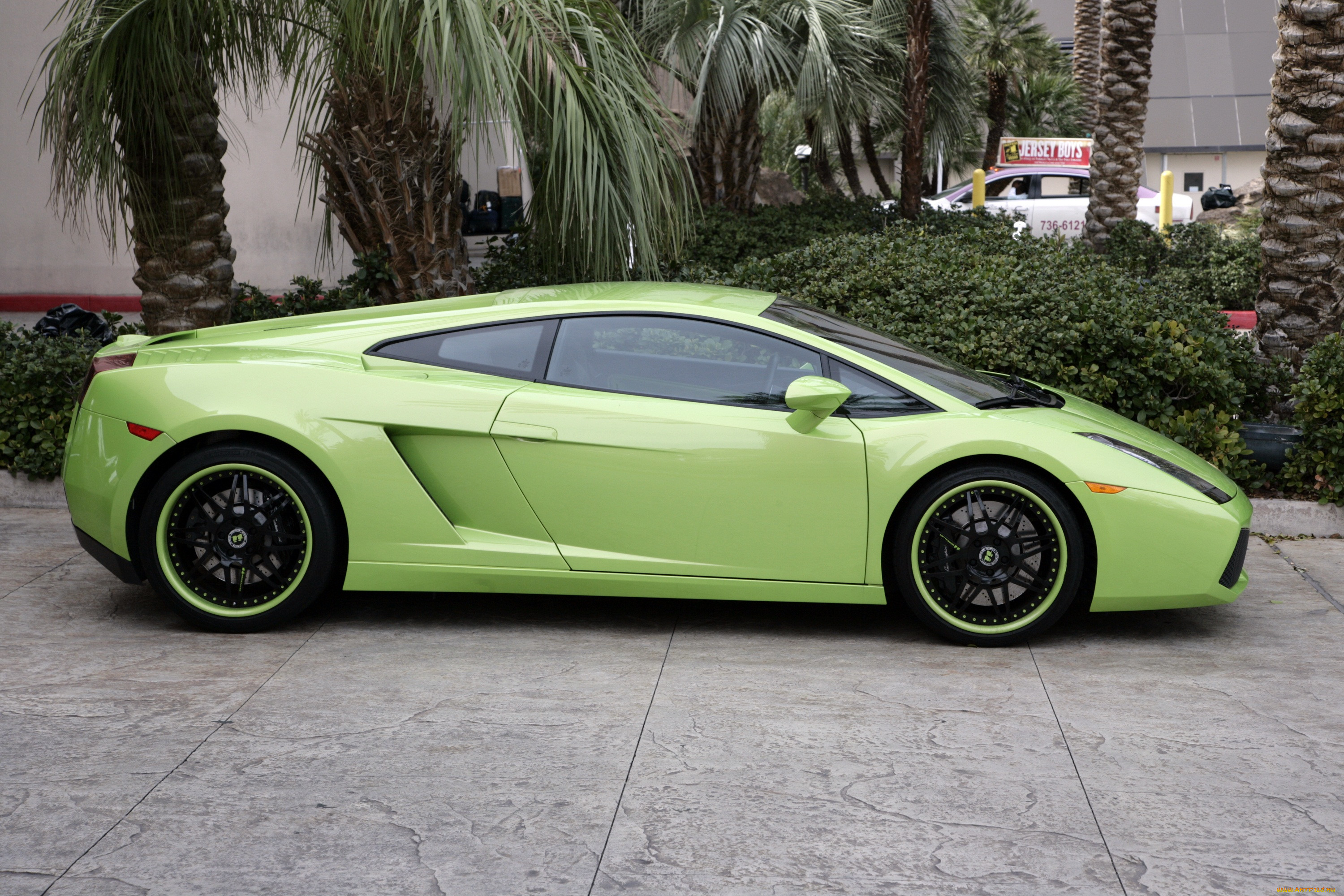 , lamborghini, gallardo, lambo, bright